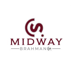 Midway Brahmans