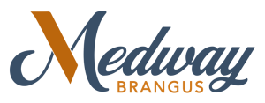 Medway
