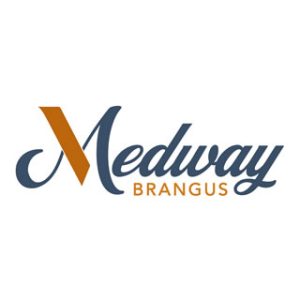 Medway Brangus